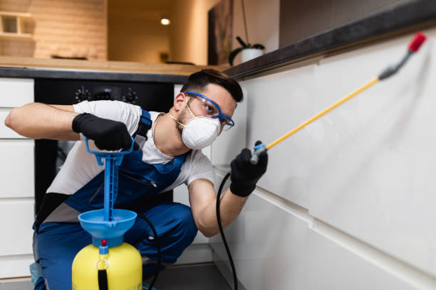 Trusted Galt, CA Pest Control Experts