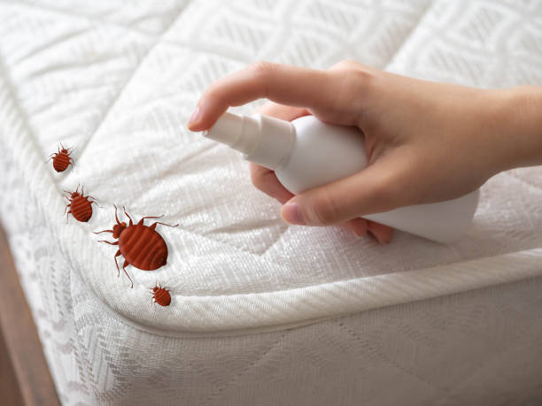 Best Bed Bug Extermination  in Galt, CA